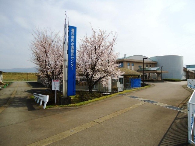 福井県内水面総合センター